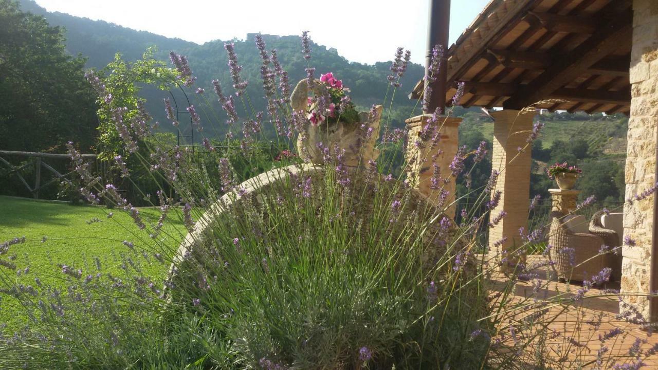 Agriturismo Isola Verde Sant'Urbano Exterior photo